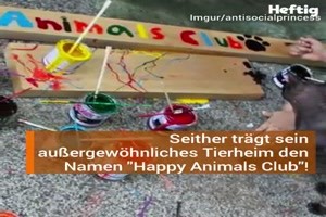 Der-kleine-Held.mp4 von Nachtstern