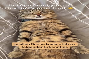 Diese-Hitze.mp4 von Brandon
