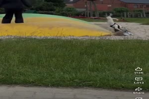 Flotter-Abgang.mp4 von Brandon