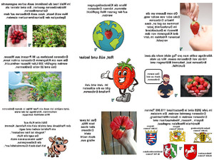 Rot,-s��-und-lecker.pps von lucky