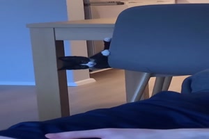 Witzige-Katze.mp4 von Schwesterchen