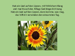 Hab-Sonne-im-Herzen.pps von Sirene