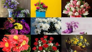 Beauty-of-Flowers-15.ppsx von Dorota