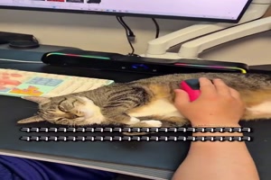 Haariges-Mousepad.mp4 von Josefin