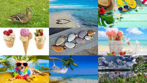 Summer 9