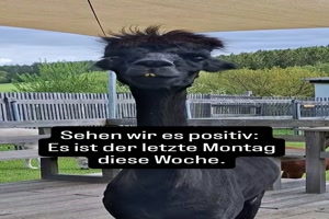 Der-letzte-Montag-diese-Woche.mp4 von Queen92