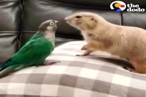 Liebe-tut-so-gut.mp4 von Schwesterchen