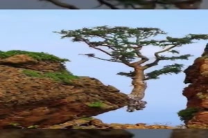 Natur-Ph�nomene.mp4 von helvis