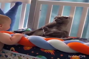 Die-Katze-im-Kinderbett.mp4 von Nachtstern