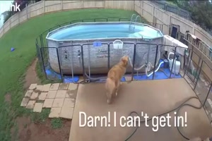 Und-ab-in-den-Pool.mp4 von Sophie48
