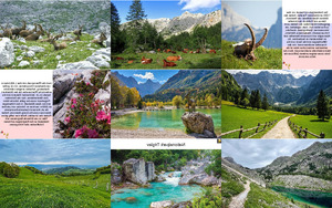 Nationalpark-Triglav.ppsx von regulus
