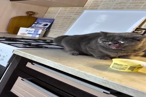Das-war-lecker.mp4 von Josefin