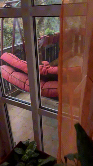 Dem-Hasen-gef�llt-die-Schaukel.gif von Brandon