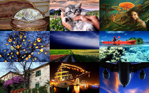 Mixed-images.pps von Michelle