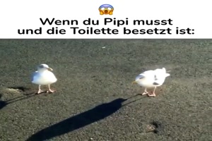 Die Toilette ist besetzt