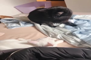 Was-war-das-denn?.mp4 von Talia1999