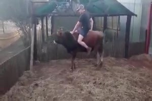 Der-mit-dem-Stier-reitet.mp4 von Tobias-1995