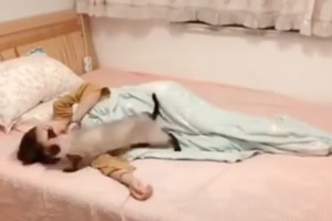 Anstrengende-Katzen.mp4 von Liebeswolke