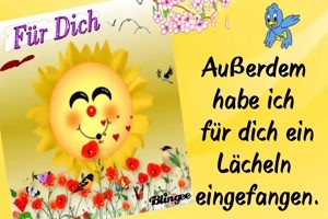 Ein-Tag-wie-immer.mp4 von Michelle