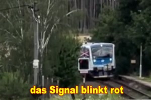 Idiot am Steuer