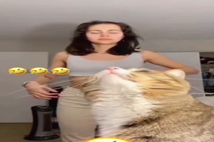 Wenn-Tiere-sprechen-k�nnten.mp4 von Josefin