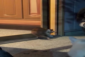 Ich-komm-da-rein.mp4 von Tobias-1995