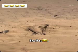 FunpotNews