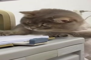 Stopp---Das-sind-meine-Bl�tter.mp4 von Sophie48