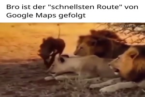 weiter