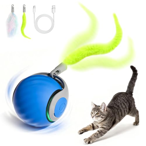Interaktiver Katzenball, der selbst herumf&auml;hrt!