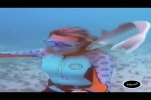 Tolle-Tiere.mp4 von SexOnTheBeach