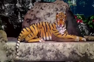 Body-Painting-Show.mp4 von helvis