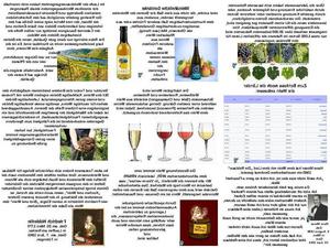 Der-Wein.pps von lucky