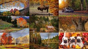 Beautiful-Autumn-51.ppsx von Dorota