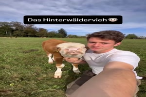 Das-Hinterw�ldervieh.mp4 von Gabriel