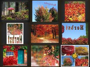 Herbstspaziergang.pps von Sirene