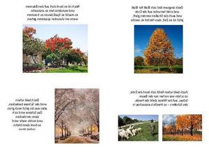 Herbst.pps von Sirene