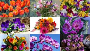 Beauty-of-Flowers-16.ppsx von Dorota