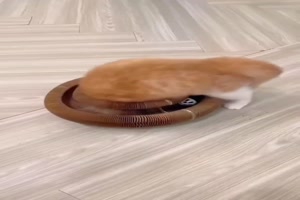 weiter