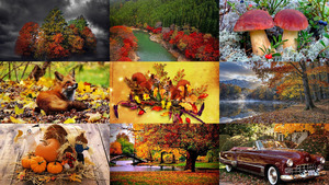 Beautiful-Autumn-53.ppsx von Dorota