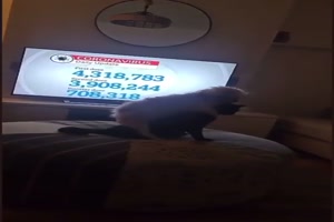 Das-wird-so-nichts.mp4 von Queen40