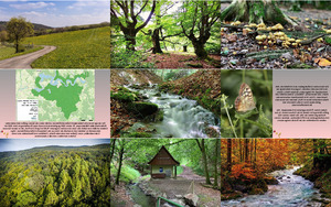 Nationalpark-Kellerwald-Edersee.ppsx von regulus