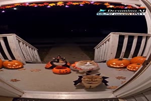 Halloween-Schreck.mp4 von Talia1999