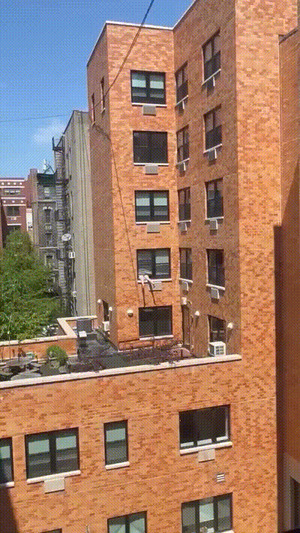 Wenn-du-keinen-Balkon-hast.gif von Traumfrau